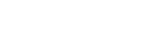 DANE Logo