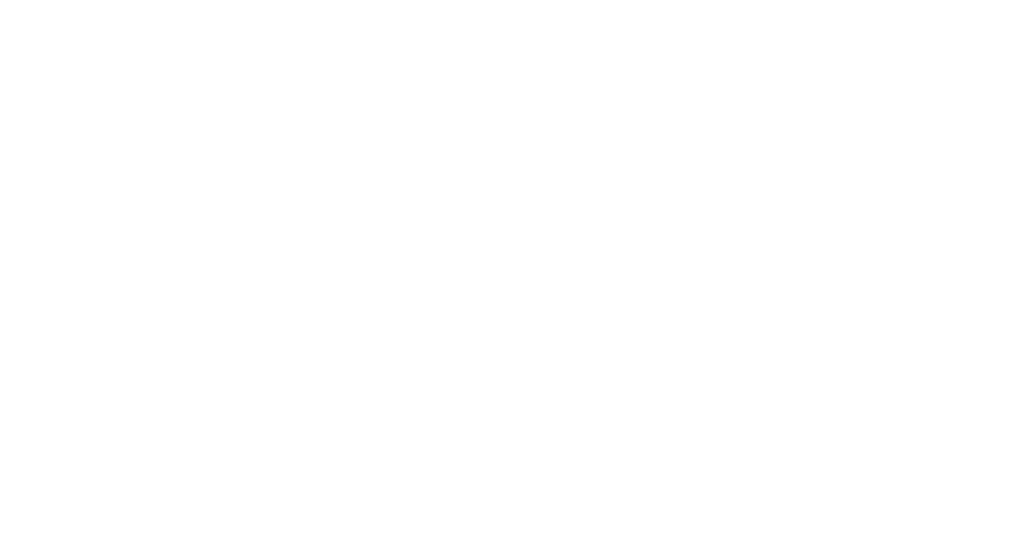 NEXX Logo